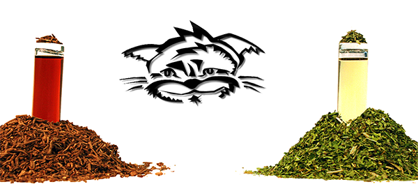 CatDrugz.com Get 'em High! Do it Often. Catnip and Valarium for your Cats. Dried and in Essential oils.